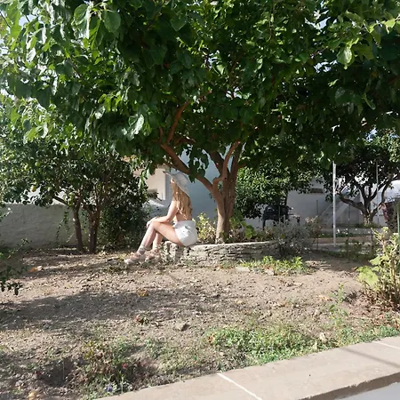 Alexandra Holiday home Exambela